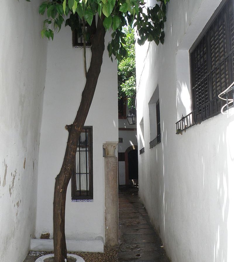 Calle del Pañuelo cordoba