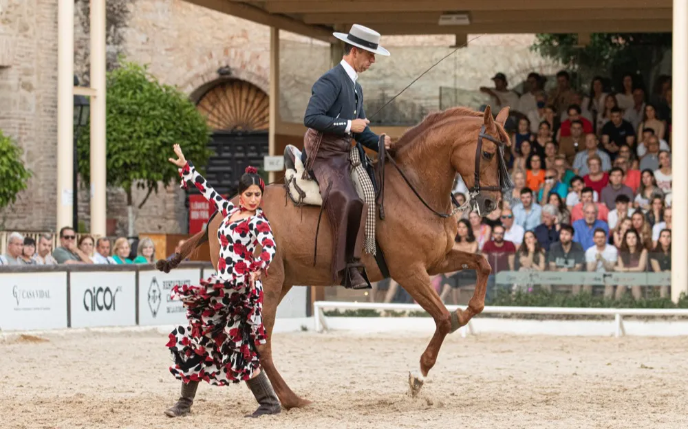 espectaculo-caballerizas-reales-cordoba-01