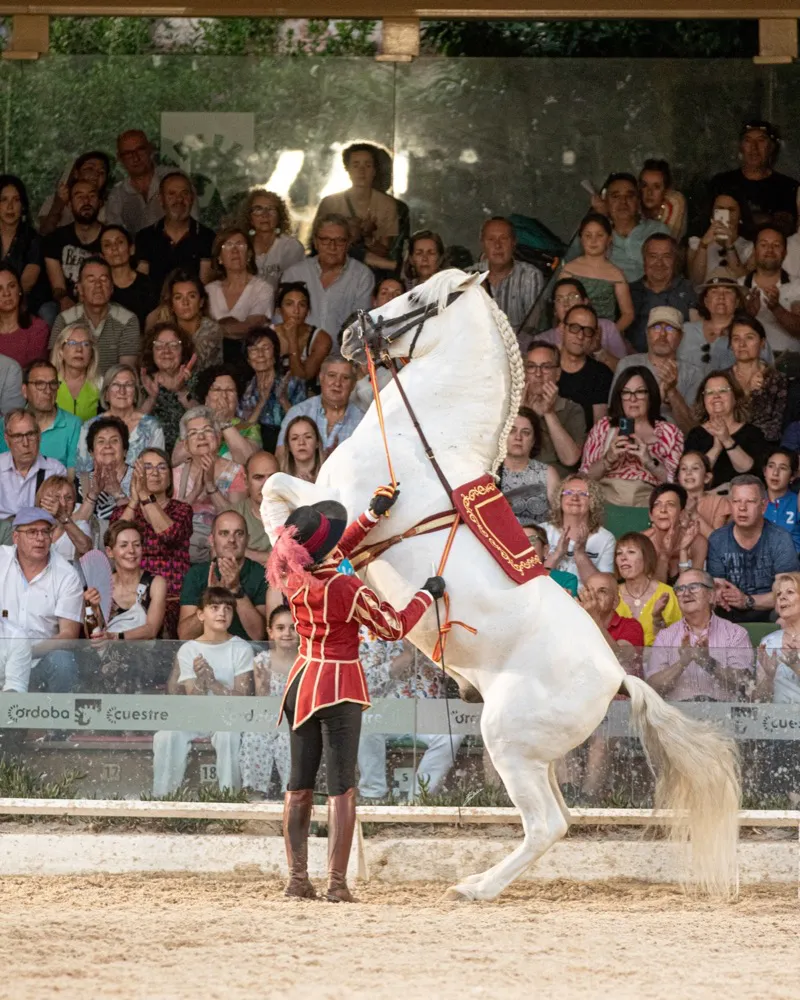 espectaculo-caballerizas-reales-cordoba-03